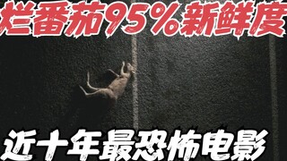 烂番茄95%新鲜度！近十年最恐怖电影之一，恐怖氛围拉满，我先干为敬！《回应我》