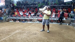 2 Hits Ulutan Timbangan @SantaMonicaCockpit second fight lose