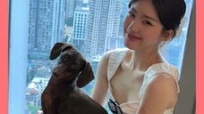 #Zhao Lusi really loves doe, and really dislikes its smelly feet #Pet