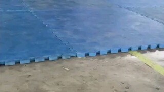 Taekwondo districk meet