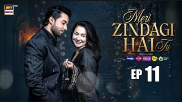 Meri Zindegi Hai Tu Episode 11