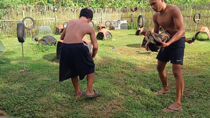 White Kelso McLean VS Blacknight Grey Spar