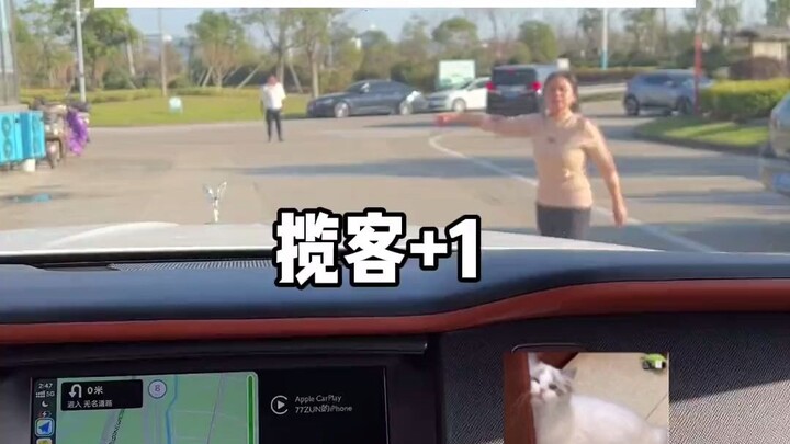 来到浙江餐馆拉客如指挥战斗机不知道的以为上航母了
