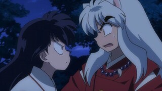 InuYasha ￫Khi tôi nhìn thấy Kagome, tôi đã tự động yêu nó ~~