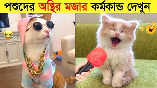 পশুদের মজার কর্মকান্ড ক্যামেরায় ধরা পড়া | Funny Animals Video 2023 (Part-22) | mayajaal