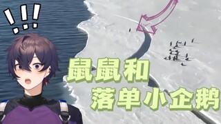【shoto/生】يرى المذيع البطريق الصغير الوحيد ويشعر بالقلق حقًا بشأن شياو هومي