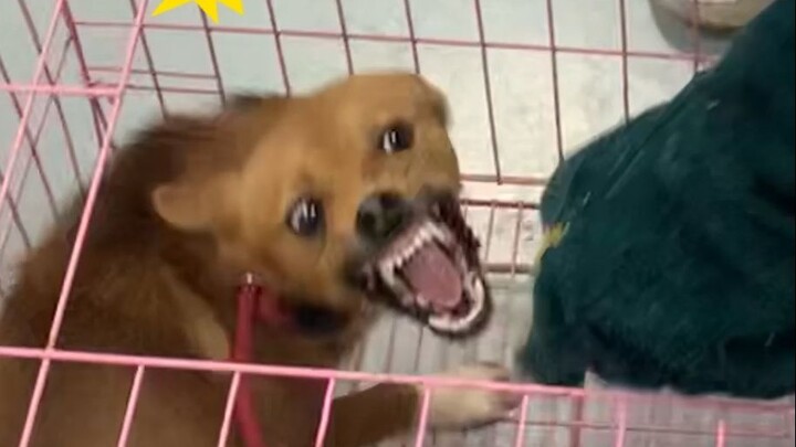 Food-complementing warning!!! Today I’ve really seen something amazing~