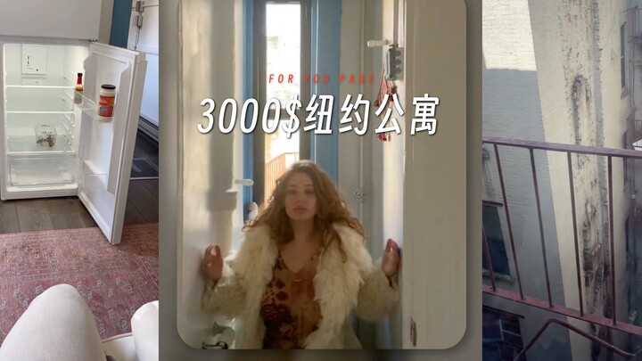 What kind of apartment can you rent for $3,000 in New York⁉️