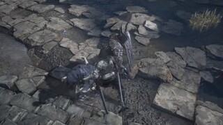 [Dark Soul 3] Abandoned case monster - Guan Dao Black Knight