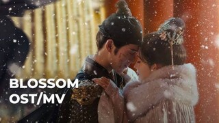 OST _ 孟子义_李昀锐共同献唱《昭昭墨墨》MV【九重紫 Blossom