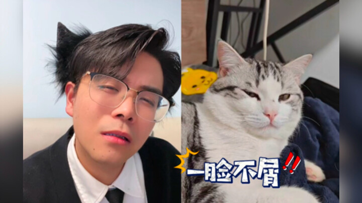 Cat Language Quarrel! The Two-Legged Cat Wins Big!!