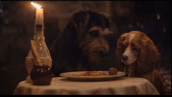 La Dama y el Vagabundo 2019