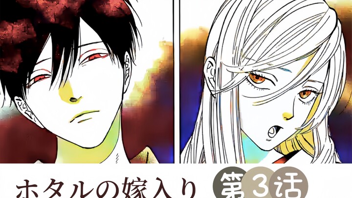 自制熟肉//ホタルの嫁入り(萤火虫之婚)第3话