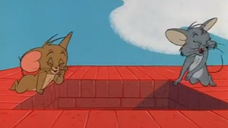 141-The Year of the Mouse [1965]