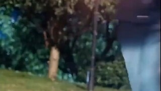 ลาก่อนอดีตรัก