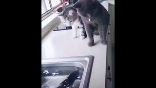 Can’t stop laughing