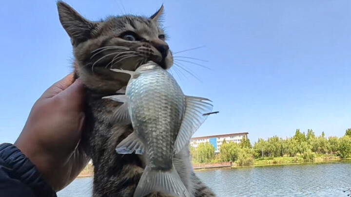 The carp here just keep getting bigger the more you fish—truly unexpected!
