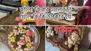 বাংলাদেশে এসে এত কস্ট পাবো ভাবতেই পারিনি 😷😷ll Ms Vlog ll