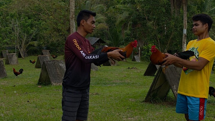 Earlybird going 5 months old