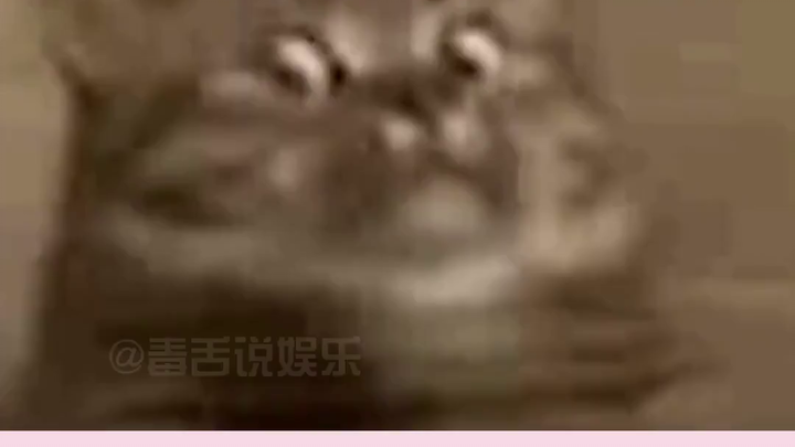 Mengapa orang Yahudi tidak berinvestasi di Tiongkok? Netizen mengungkap kebenaran di baliknya