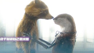火箭：“穷极一生去探寻我是谁，最终在你嘴里得到了答案”