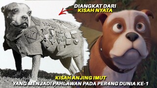 KISAH ANJING TERLANTAR MENJADI PAHLAWAN || Alur Cerita Film SERGEANT STUBBY: AN AMERICAN HERO (2018)