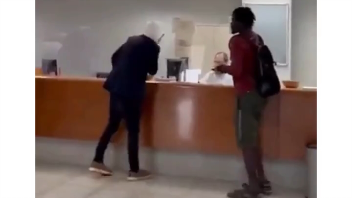 A collection that will make you refreshed