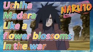 Uchiha Madara Like a flower blossoms in the war