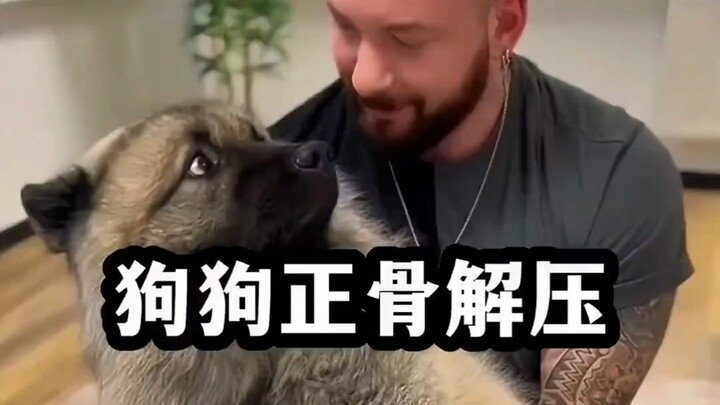 “A super heartwarming dog chiropractic moment—its reaction afterward is so adorable!”