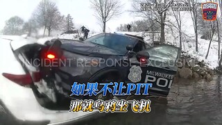 Burung gagak naik pesawat!