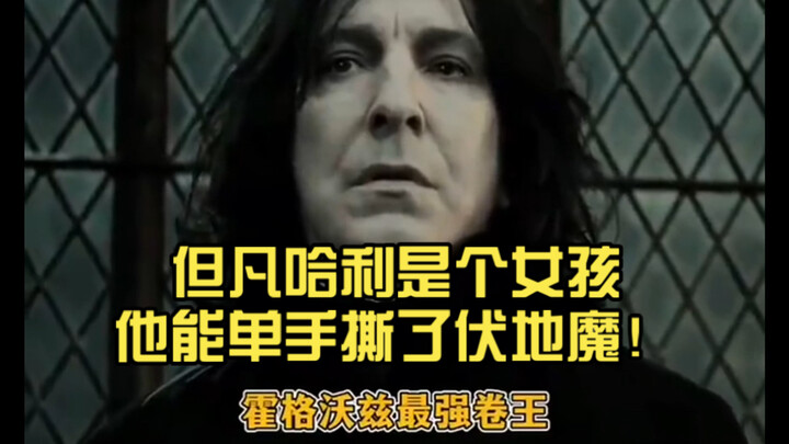 Who could possibly not love Professor Snape? If only Harry were a girl—she’d tear Voldemort to shred