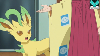 Pineapple Juice - Pokemon Sword And Shield Tập 94 - Kailios đang yêu 2 #anime #schooltime
