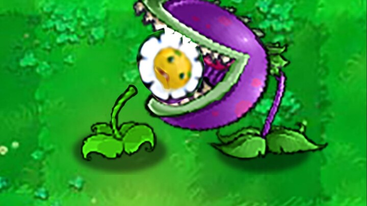 ดี เพื่อนร่วมทีม