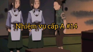 Nhiệm vụ cấp A p14