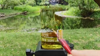 支架：已老实求放过