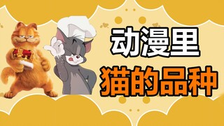 宠物冷知识：这些动漫里的猫,都是什么品种呢？