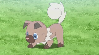 pokemon thuyết minh 2023 t28