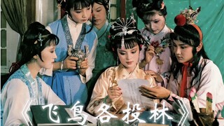 "Hồng Lâu Mộng: Chim bay về rừng nhà mình" Mặt đất phủ một màu trắng, thật sạch sẽ...