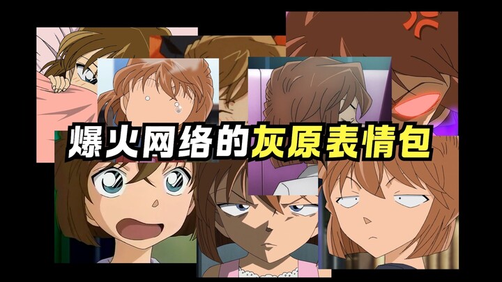 حتى الزميلة هاييوان الباردة لديها الكثير من ملصقات التعبيرات!