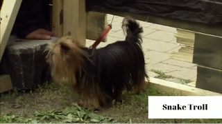 Chơi khăm với người lạ 4 #ranbiettroll