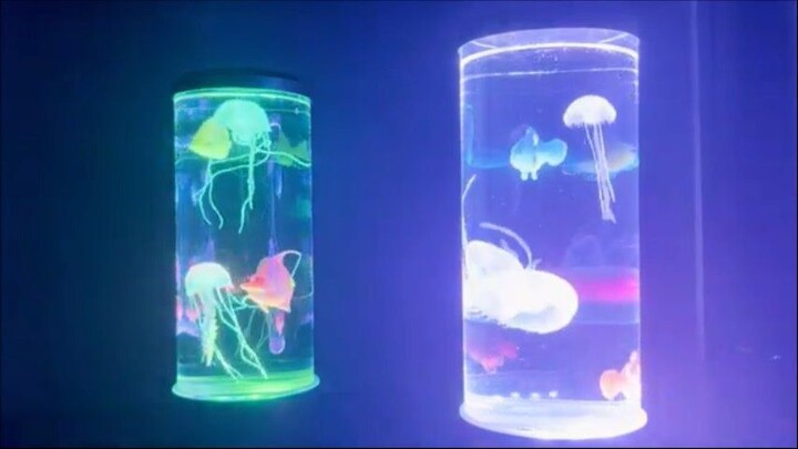 Get Ready For The Return of the Texas Cowboy With A Gentle Relaxing Country Tune