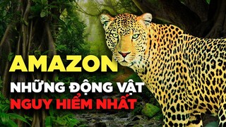 NHỮNG ĐỘNG VẬT NGUY HIỂM NHẤT AMAZON