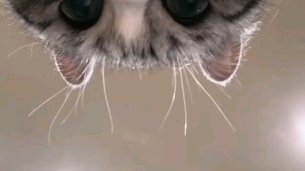 【komaru】Ada? Biar aku lihat dulu, kamu udah bangun belum?