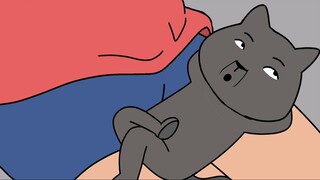 10 Alasan kenapa mending pelihara kucing