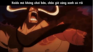Kaido mà không chơi bẩn, chắc giờ cũng xanh cỏ rồi #anime #onepiece