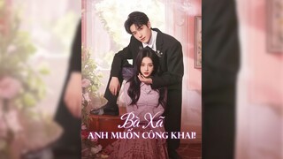 Bà Xã, Anh Muốn Công Khai! - Honey, I Want to Go Public! - Phụ đề tiếng Việt