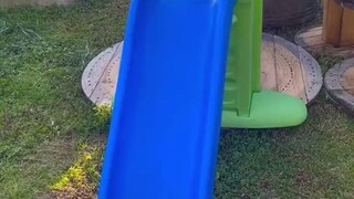 小羊羊不会玩滑梯，只会从高处“山羊跳”