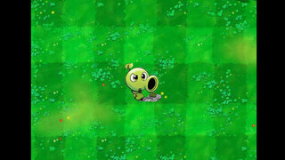 The Story of Submarine Weiwei's Fan