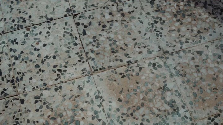 From The Ashes (2024) Dub Indonesia