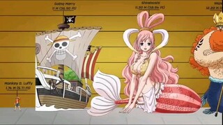 Perbandingan Tinggi Badan Luffy dengan Seluruh Karakter di one piece